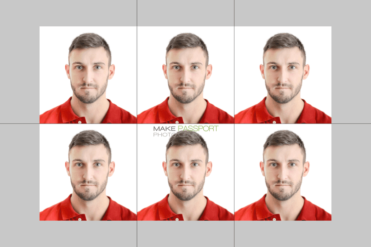 Congo [Republic] Congo (brazzaville) Passport from U.S,Canada,Mexico sample photo