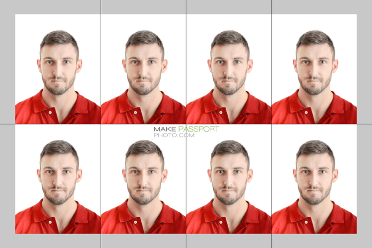 Denmark Passport sample photo