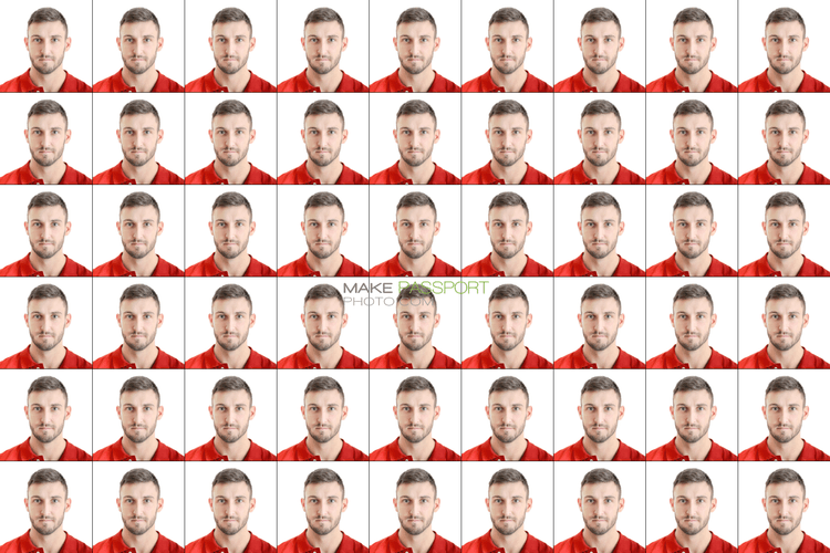 Denmark University of Copenhagen student card sample photo