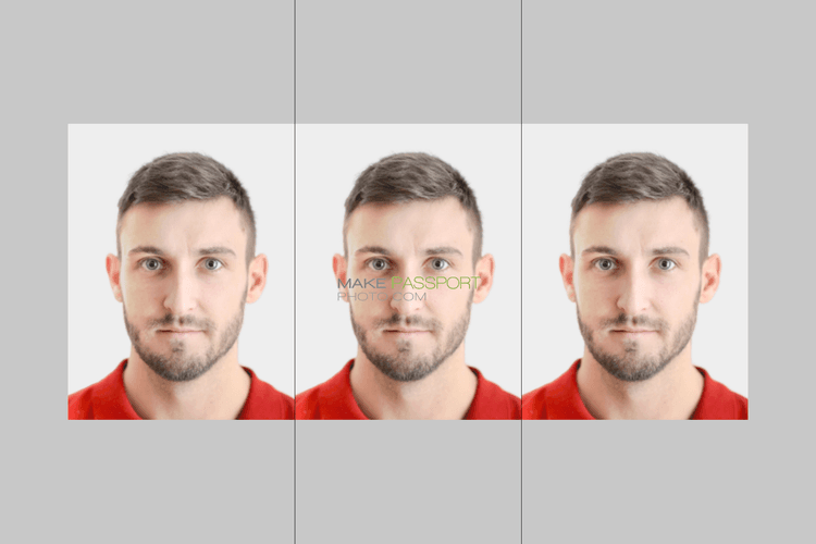 Finland ID card online sample photo