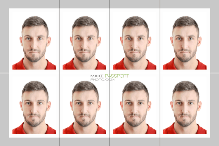 India Unofficial Passport Photo sample photo