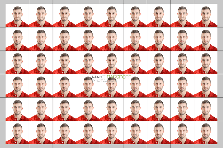 India Visa Online sample photo