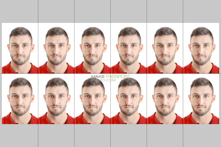 India Pan card sample photo