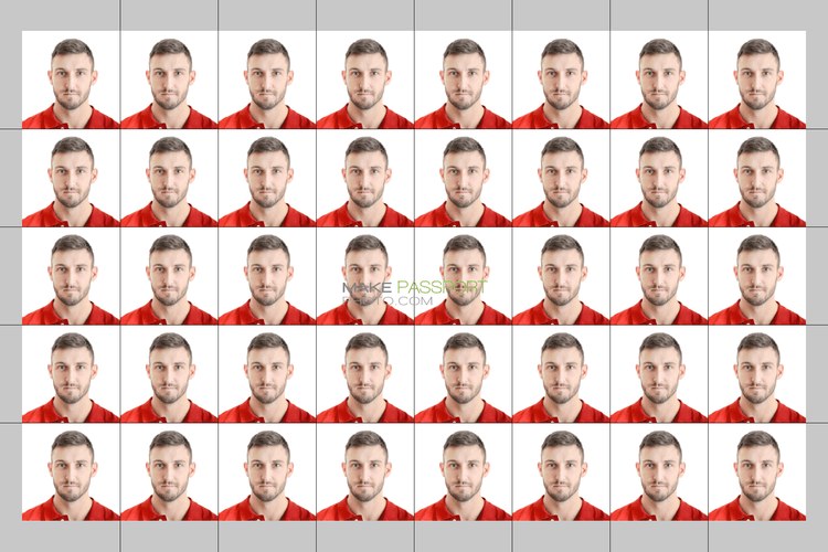 India Pan card online sample photo