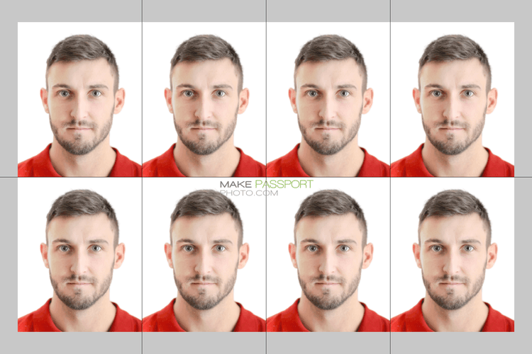 India Online driving licence sample photo