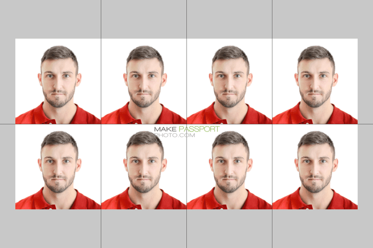 India FRRO (Foreigner Registration) sample photo