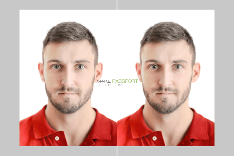 India NEET Passport photo 2.5x3.5 Inch sample photo