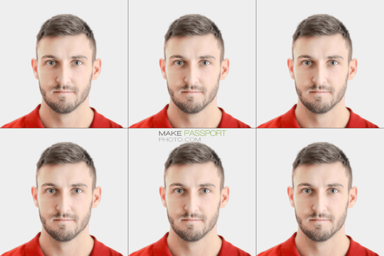 Armenia Evisa photo sample photo