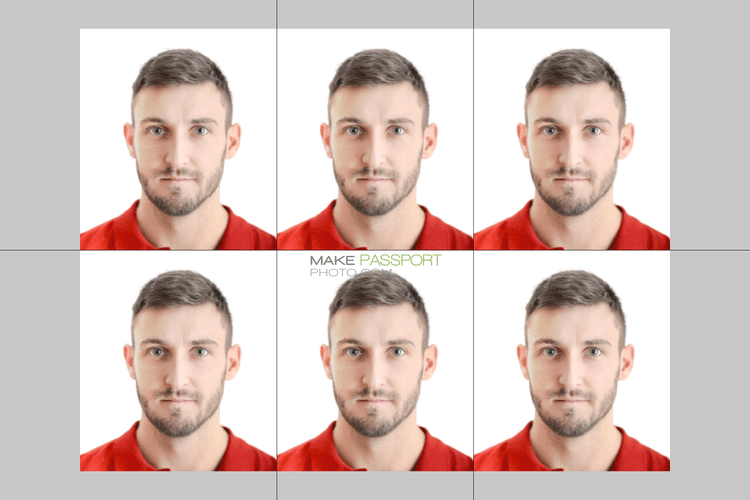 Afghanistan Passport sample photo