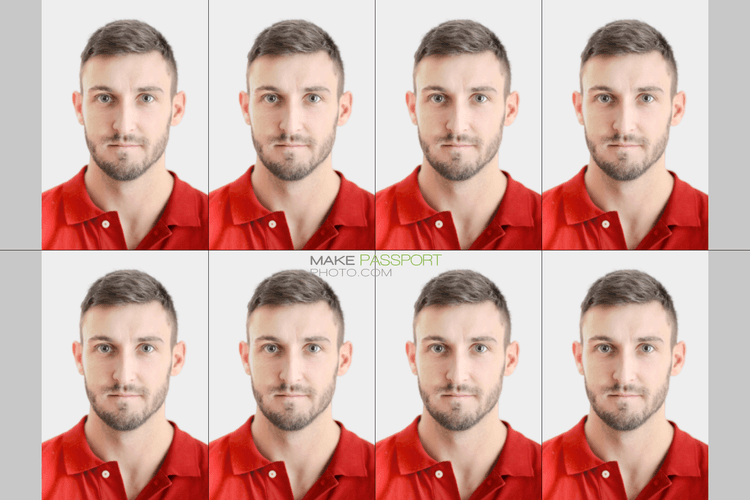 Iran E-visa sample photo