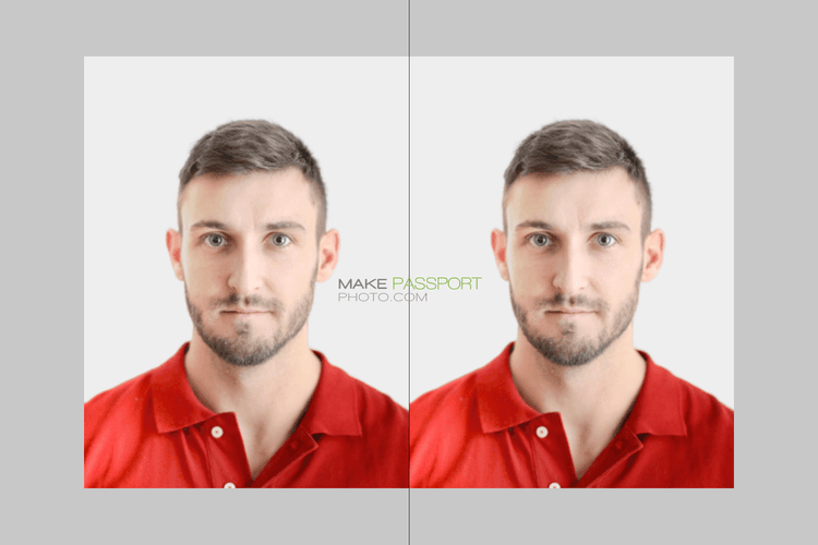 Ireland Passport online sample photo