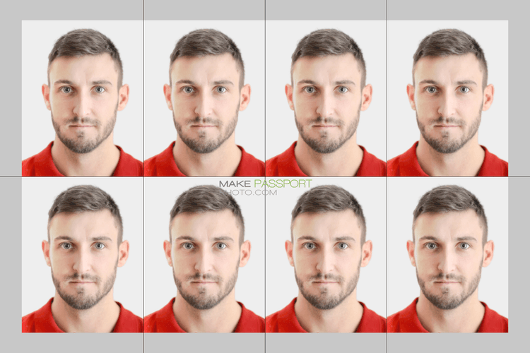 Italy ID card sample photo