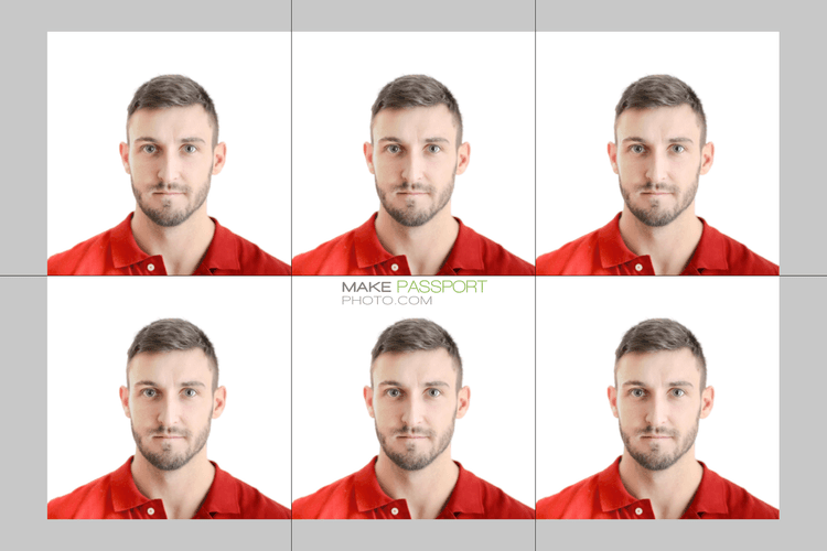 Japan Visa sample photo