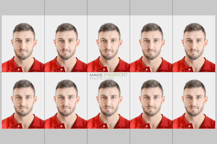 Japan Residence Card or Certificate of Eligibility sample photo