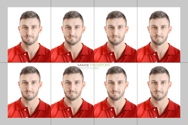 Japan Gogonihon sample photo