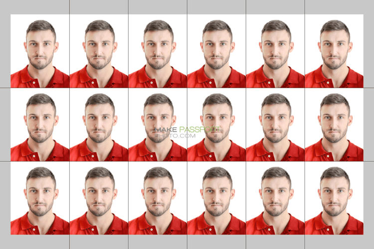 Japan Student ID sample photo