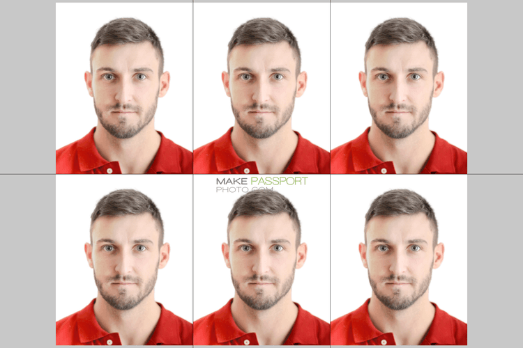 Japan International driving license sample photo