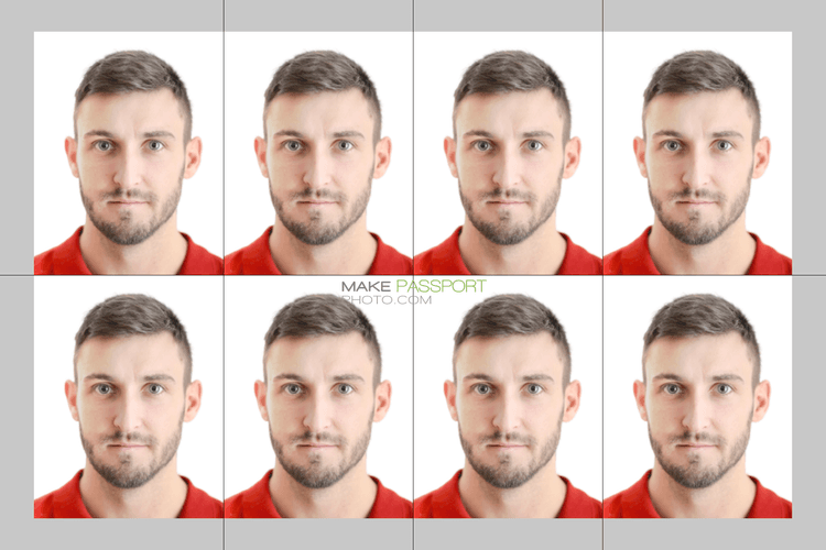 Lebanon Passport sample photo