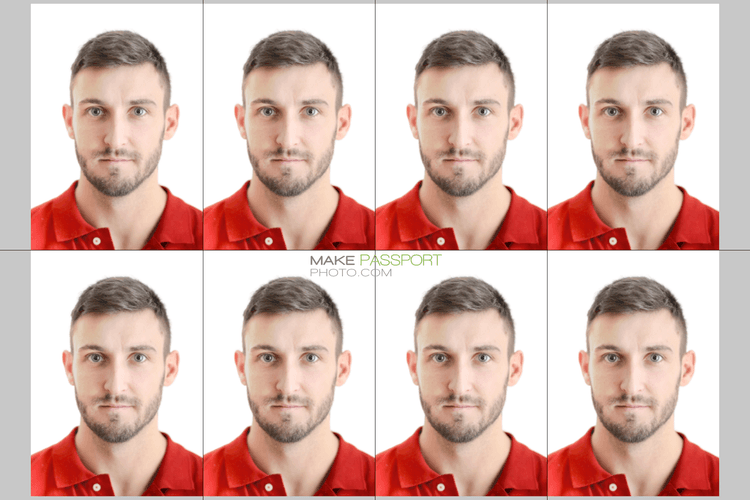 Malaysia Evisa online application sample photo