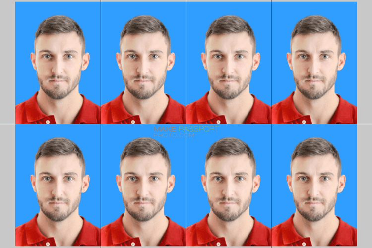 Malaysia APEC Business Travel Card sample photo