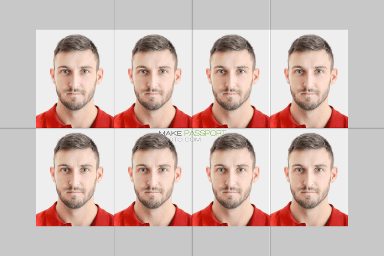 Mexico Permanent residents visa sample photo