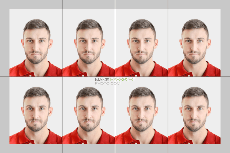 Netherlands Passport sample photo