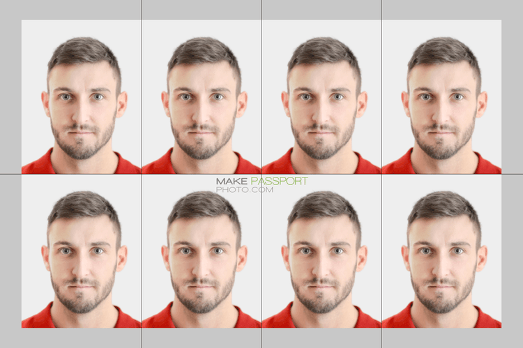 New Zealand Seafarer Certificate sample photo