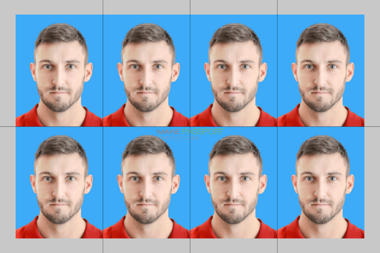 Palestinian Territories Passport sample photo