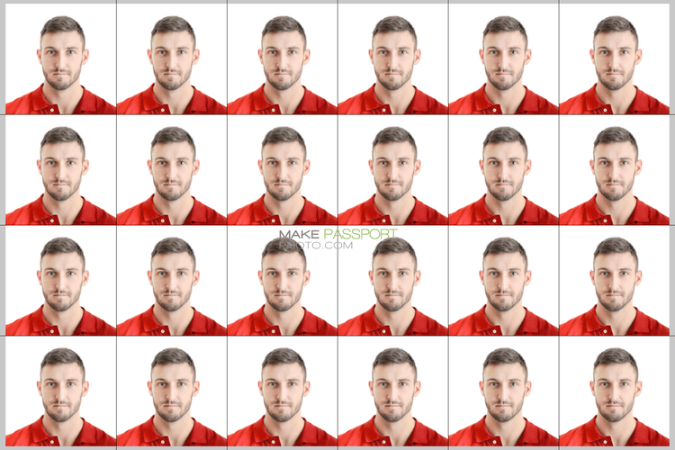 Philippines Other License sample photo