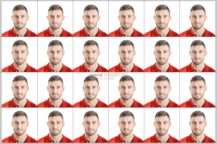 Philippines Certificate of Identity and Registration (CIR) card sample photo