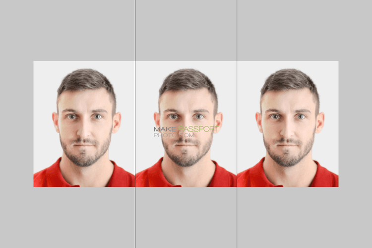 Poland ID card online 2 sample photo