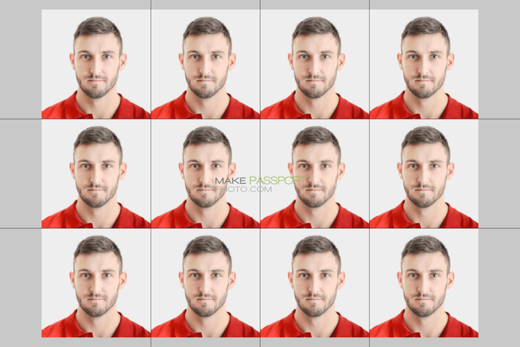 Portugal ID card sample photo