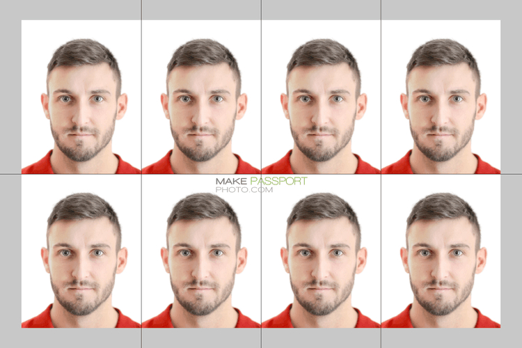 Russia Passport sample photo