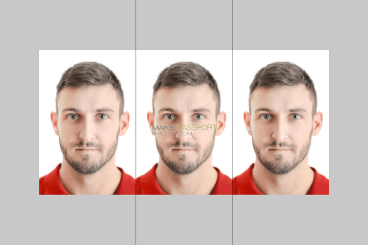 Russia APEC Business Travel Card sample photo