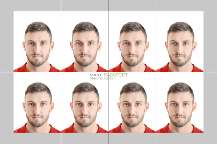 Russia ESTR card sample photo