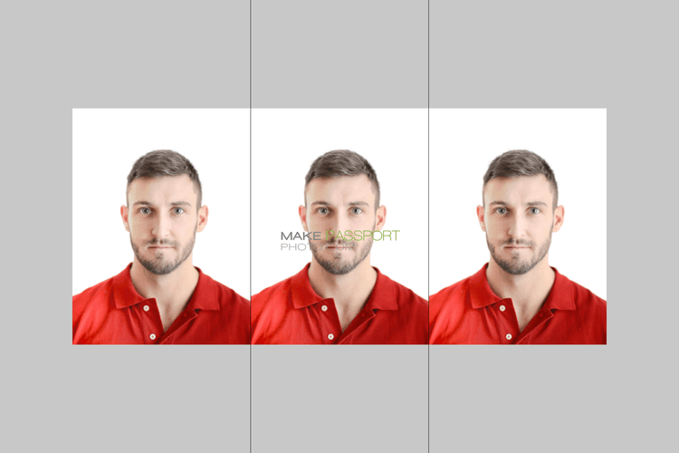 Spain Passport 2 sample photo