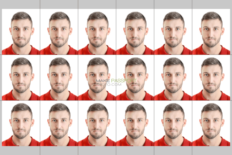 Taiwan Tax Exemption Card sample photo