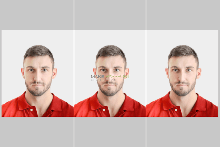 Turkey Passport sample photo