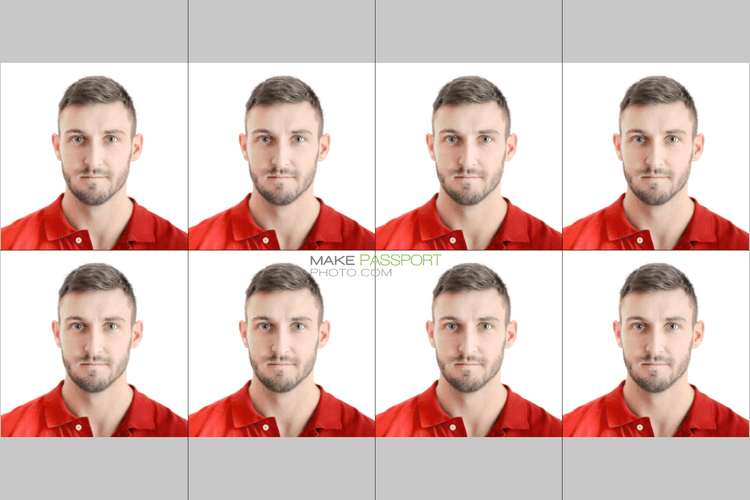 United States NY Gun License sample photo