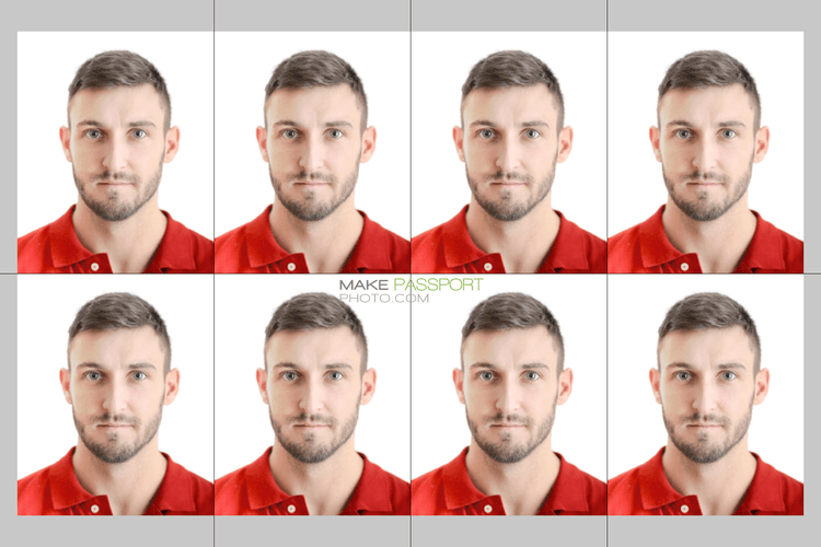 Brazil Visa online sample photo