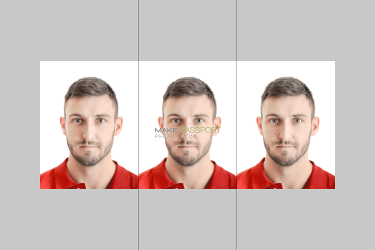 Brunei Passport sample photo