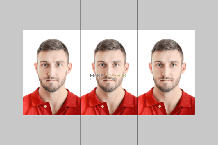 Cambodia Visa from Switzerland sample photo