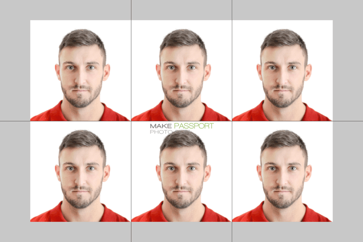 Cameroon Visa online sample photo