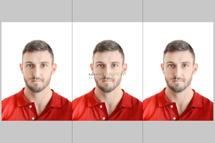 Canada Permanent Resident Card sample photo