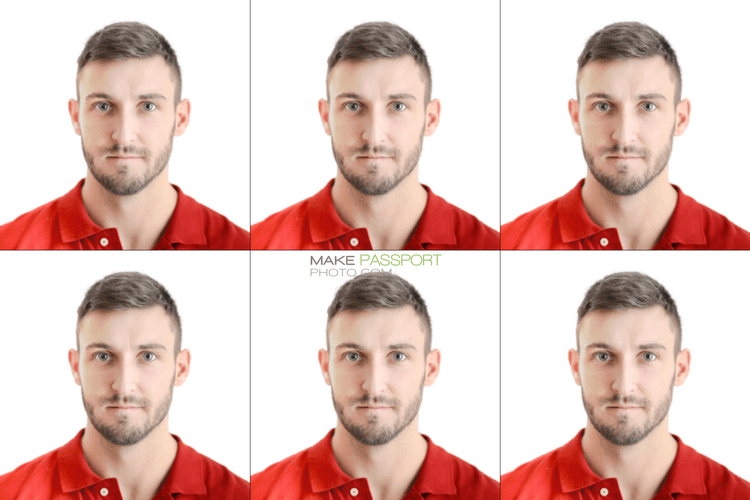 Chad Passport sample photo