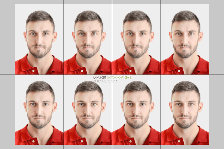 China Green Card sample photo