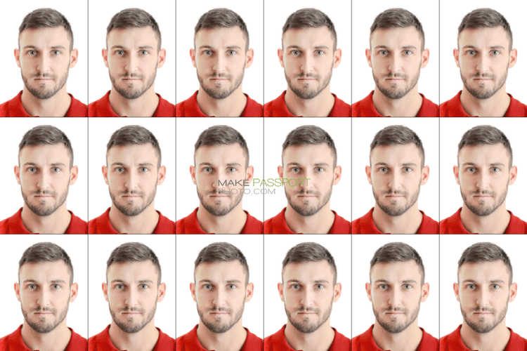 China APEC Business Travel Card sample photo