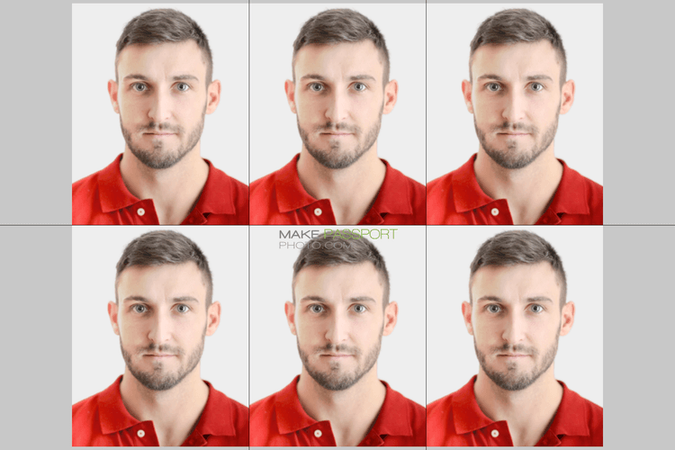 Georgia E-visa sample photo