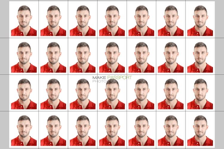 India Stamp Size Photo sample photo