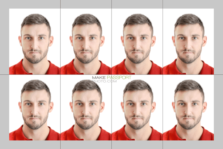 India Driving licence sample photo